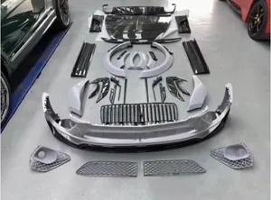 Complete Mansory-style dry carbon body kit