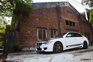 Side skirts (LA, 1M style, long, carbon accents) — 2012-