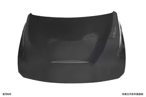 Hood (type A, double-sided carbon) — 2019