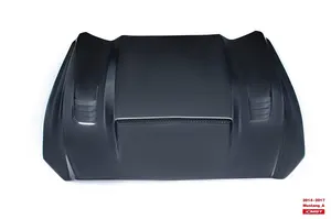 Hood (type A, GT500 style) — 2014 (CMS6-013)