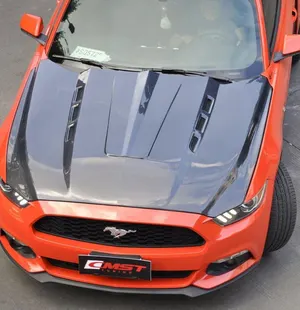 Hood (type B, GT500 style) — 2014