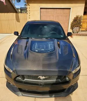 Hood (type D, GT500 style) — 2014