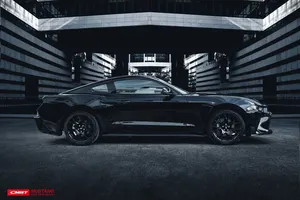 Front lip — 2018-2019