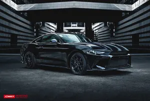 Front lip (add-on, fits OEM parts) — 2018-2019