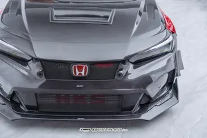 Front fenders (Type R)