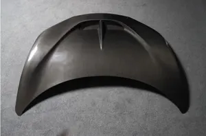 SP-style hood (double-sided carbon)