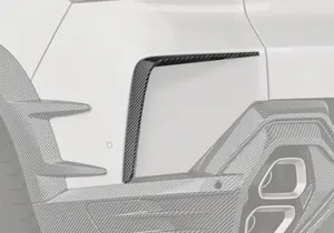Rear Canards